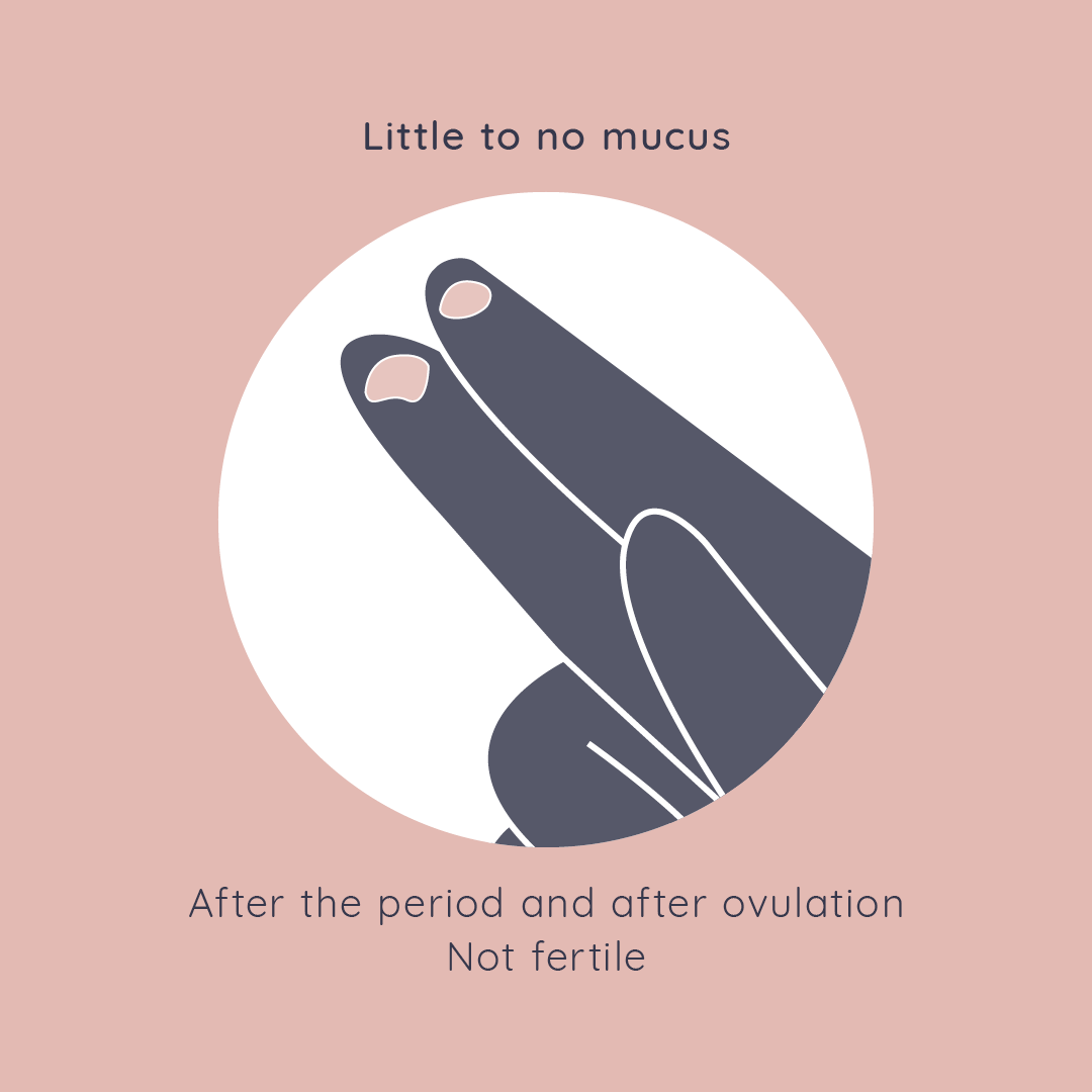 Blog - The Fertility Pod